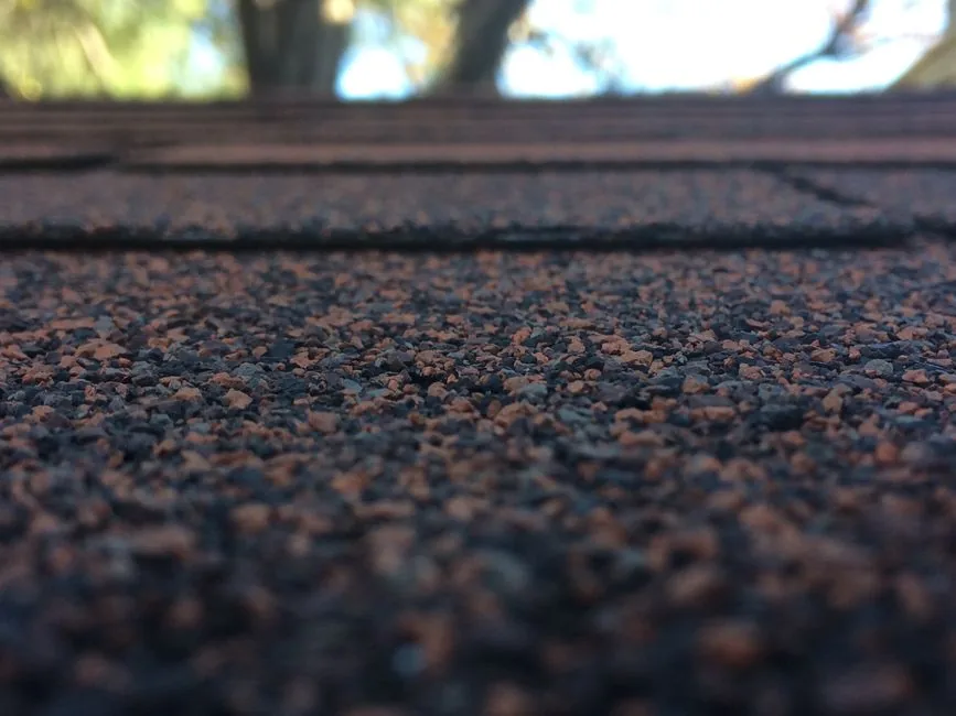 Roof Leak Repair in Raleigh